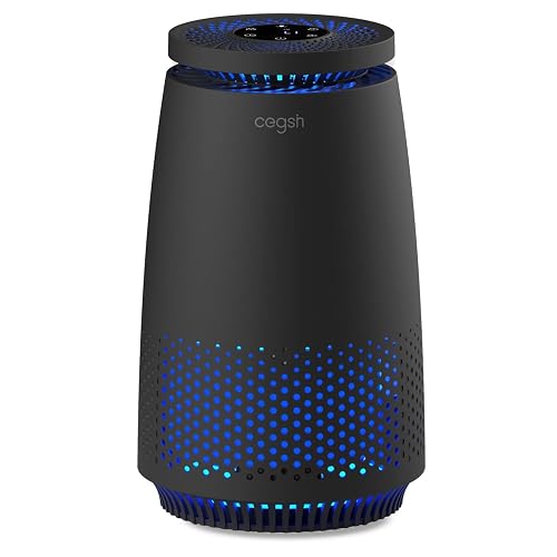Cegsin 3-in-1 HEPA Air Purifier Black