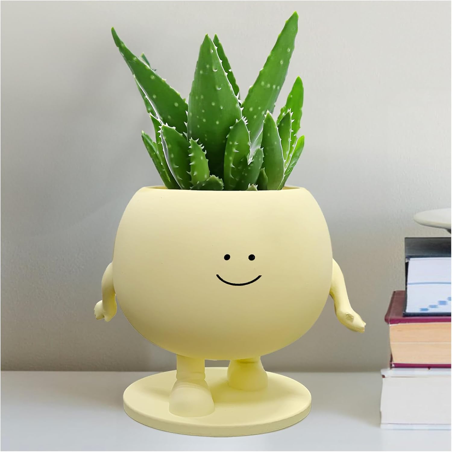 Cute Resin Flower Pots Small Plant Flowerpot with Drainage Hole Face Pots Indoor Succulent,Cactus Planters Unique for Mother(Smile)