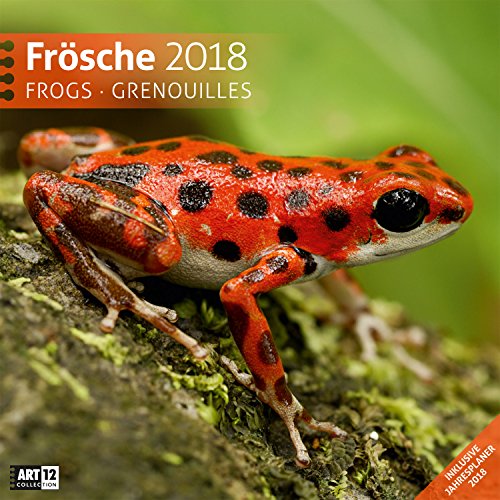 Frösche 30x30 2018