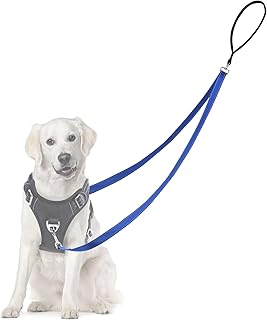 Adiwo Anti Zug Hundegeschirr, Keine Verwicklung Reflektierend Doppelleine, für große mittlere Hunde Anti-Zieh Geschirr Hundeleine, Blau product image