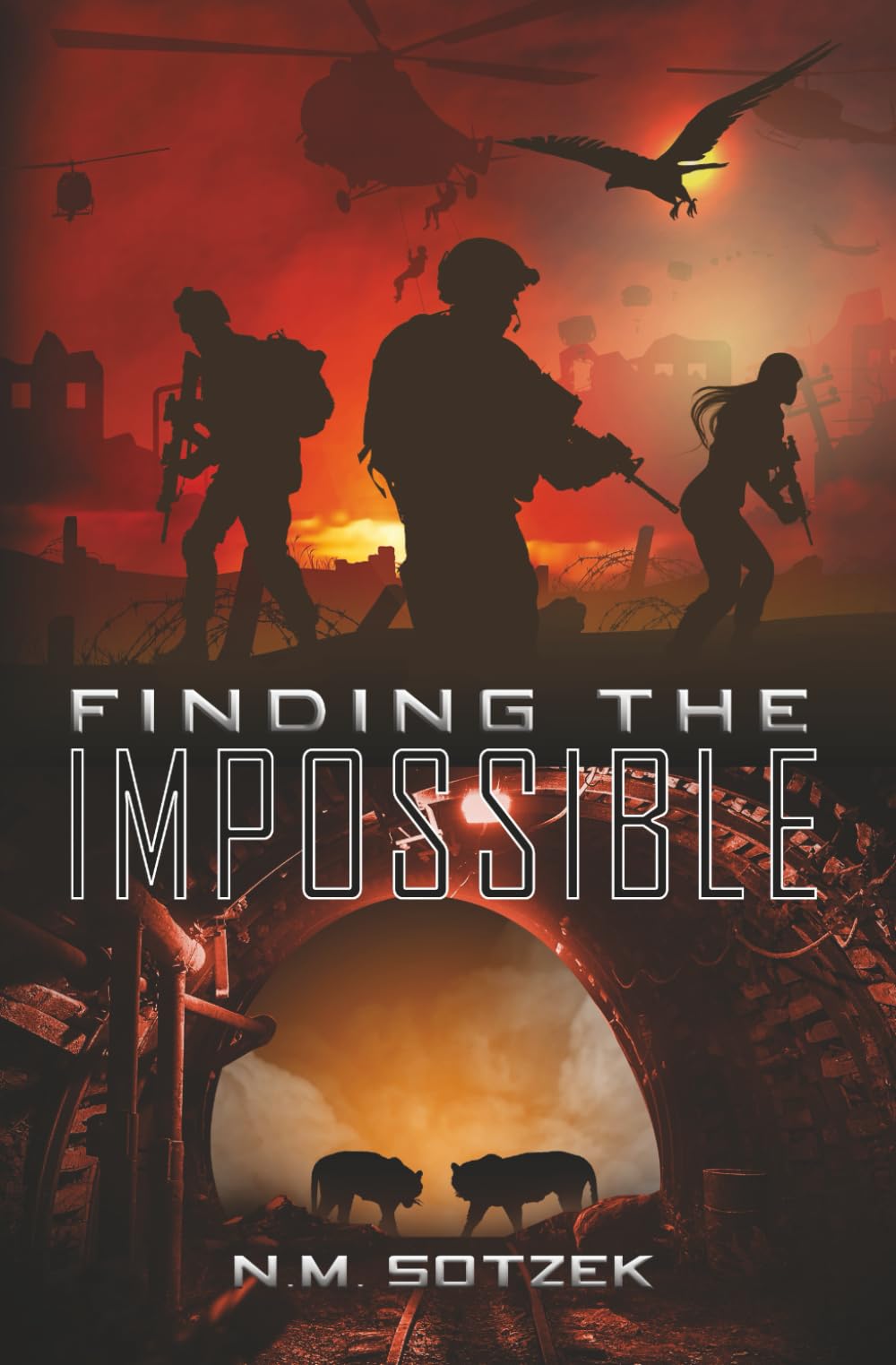 Finding the Impossible: 3 (The AIM Chronicles)