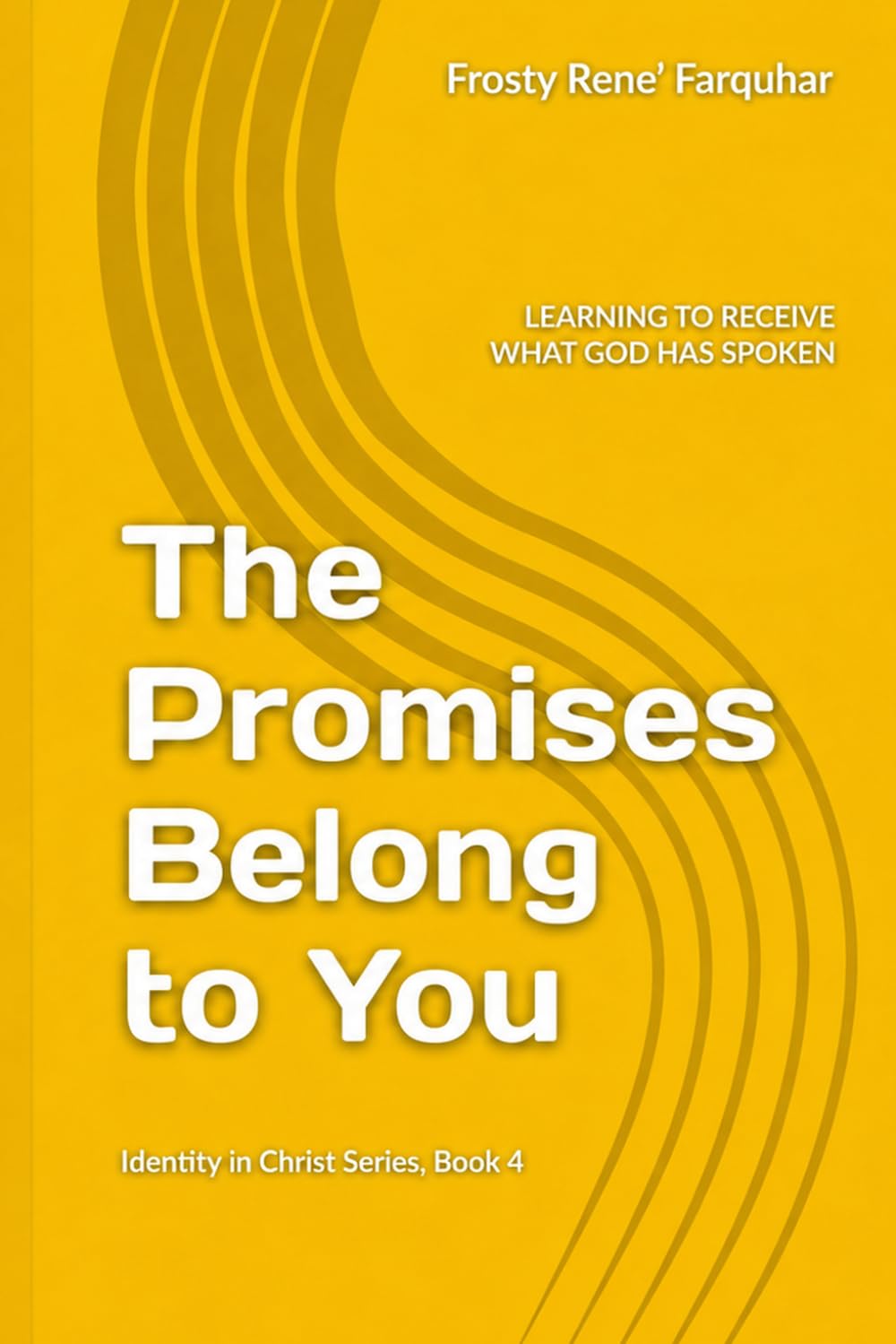 THE PROMISES BELONG TO YOU: Learning to Receive What God Has Spoken Identity in Christ Series, Book 4