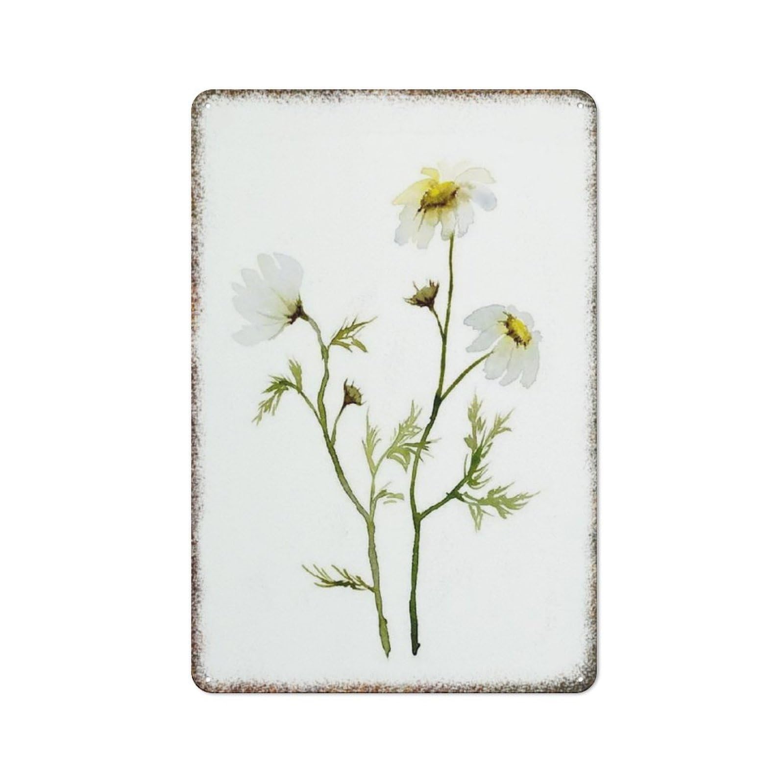 Watercolor Daisy Flower Art Retro Metal Plaque Countryside Farmhouse Home Horticulture Vintage Wall Decor 8x12 Inch