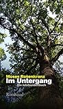  Im Untergang: Ein Jahrhundertbuch (Bukowiner Literaturlandschaft / Texte aus der Bukowina)