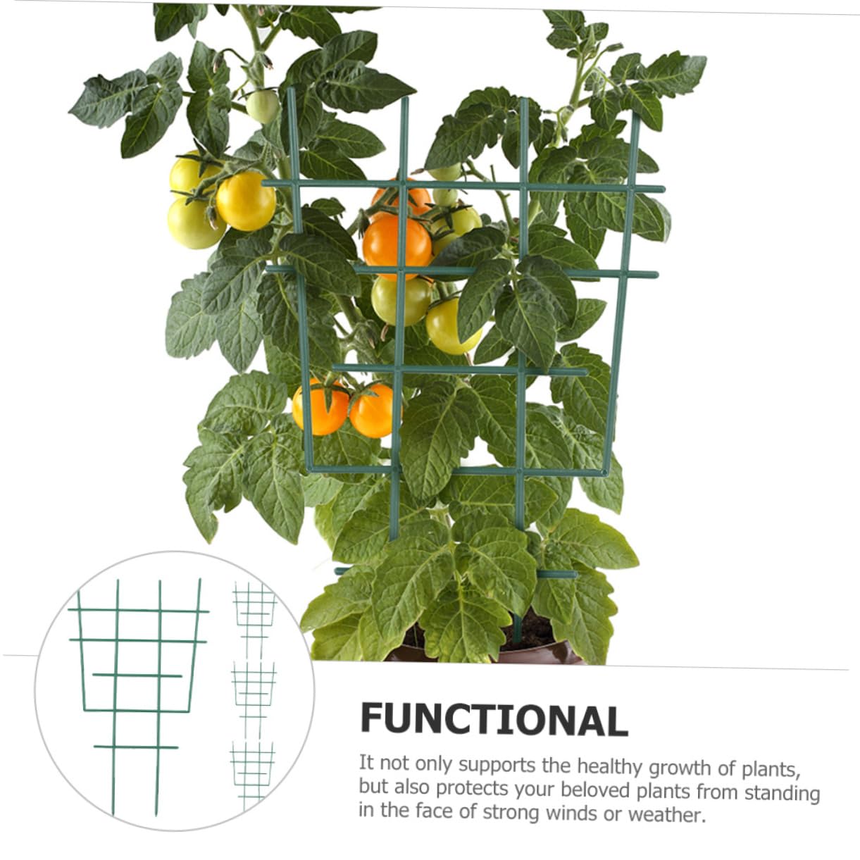 4 Supporti Per Steli Di Piante, 4 Dimensioni, Clip Di Supporto Riutilizzabili Impermeabili Verde 96227336