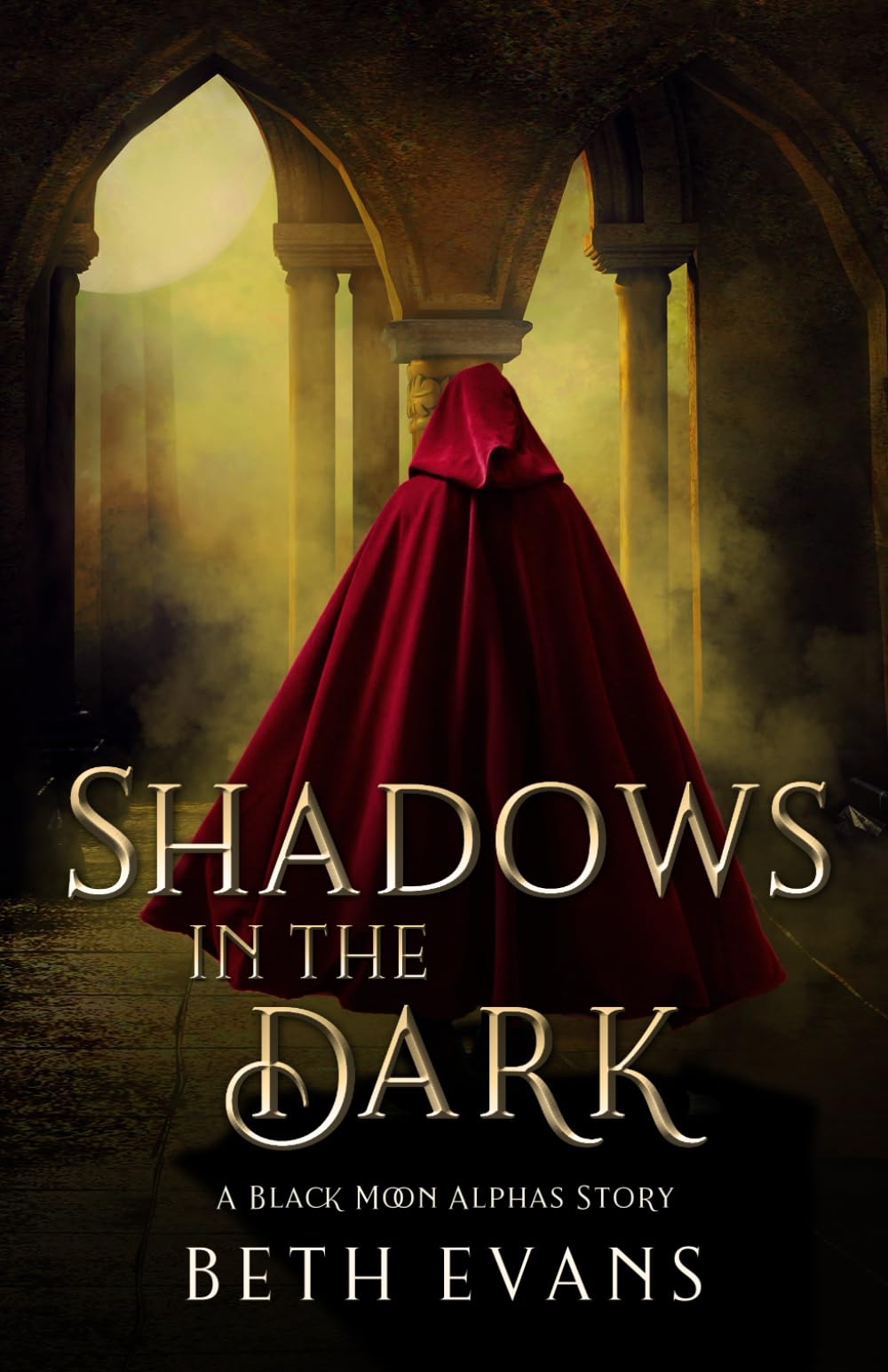 Shadows in the Dark (Black Moon Alphas)