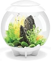 Vista 4 de biOrb Halo 15 - Acuario acrílico de 4 galones con luces LED de control remoto multicolor. Tanque moderno compacto para exhibición en mesa o Gris