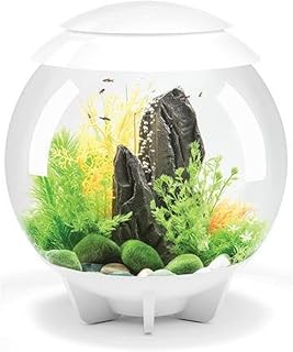 biOrb Halo 30 - Acuario acrílico de 8 galones con Luces LED Multicolor con Control Remoto, Tanque Moderno para exhibición de Mesa, Color Blanco
