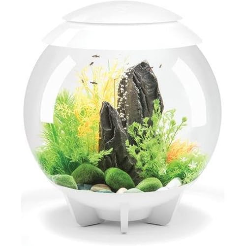biOrb Halo 30 Acrylic 8-Gallon Aquarium with Multi-Color Remote-Controlled LED Lights Modern Tank for Tabletop Display, White