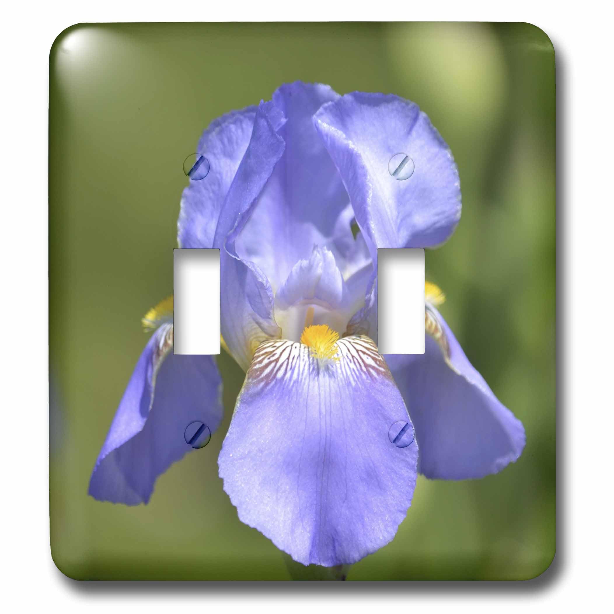 Interrupteur iris 3dRose LSP_54453_2 plaque de finition pour commutateur