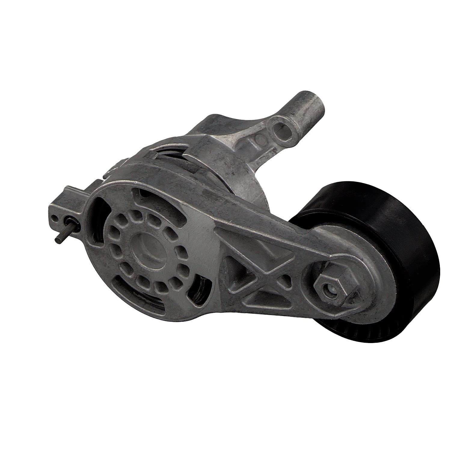 FEBI BILSTEIN Tendicinghia, Cinghia Poly-V 30166 Compatibile con: AUDI A3, A3 Sportback, TT, TT Roadster, SEAT ALTEA, ALTEA XL, LEON, TOLEDO III, SKODA OCTAVIA II, OCTAVIA II Combi, VW EOS, GOLF V