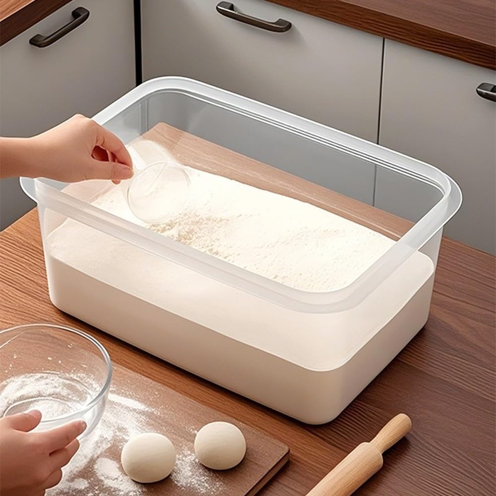 Contenitore Fermentazione Impasto per trasparente 40x28cm Ermetico