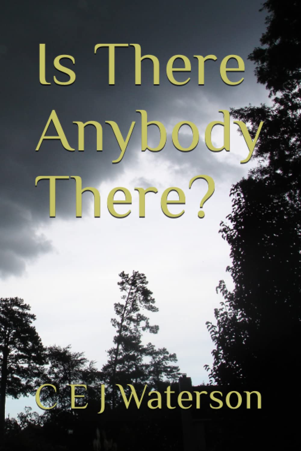 Is There Anybody There?