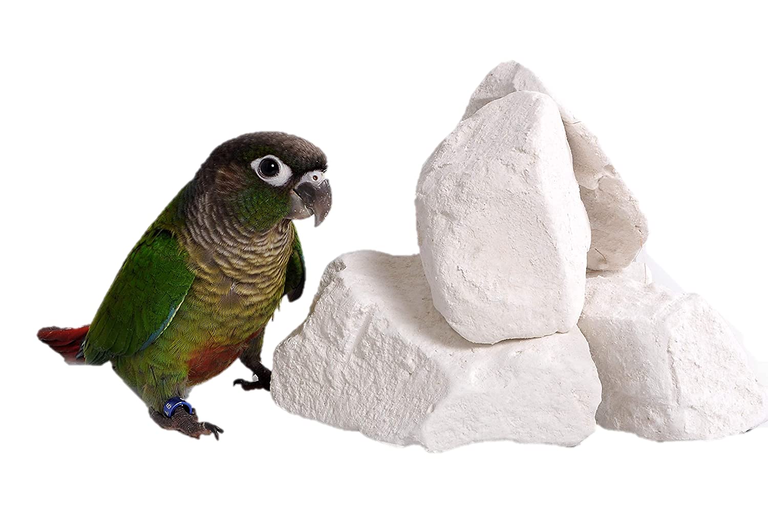 Natural Mineral Block for Birds (with Cuttlefish Bone) 500g (B09HN5M919) Amazon Price History, Amazon Price Tracker