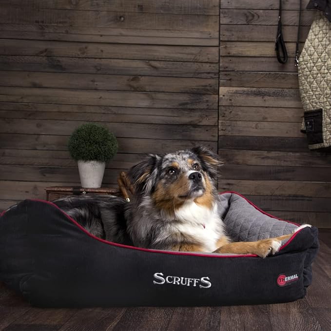 scruffs large dog bed