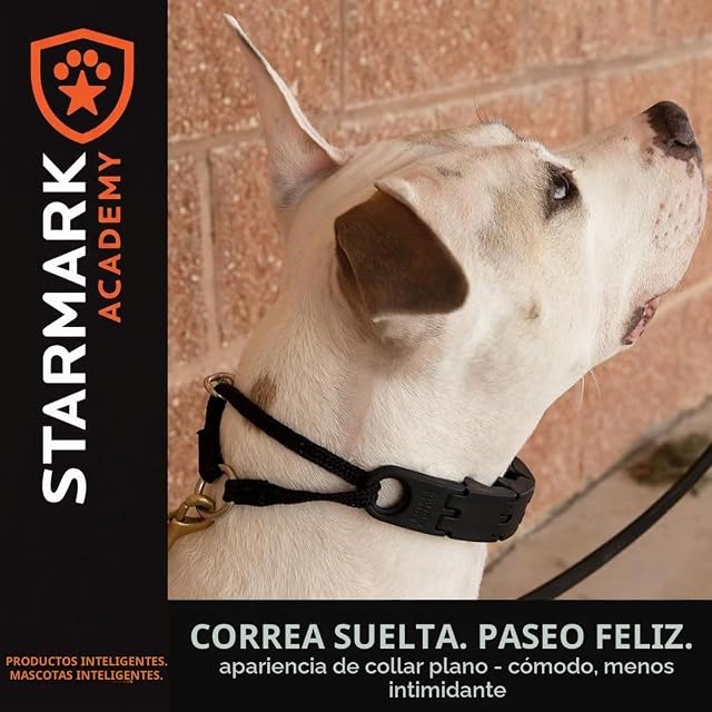Foto 5 de 5 de Julius K9 59815 Starmark Collar - S, S, Multicolor
