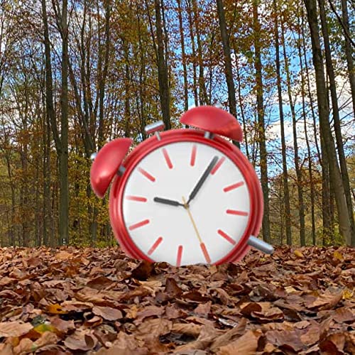 Termintreue: wichtig oder nervig? | DSWR010