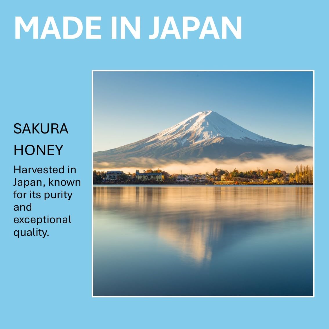 Amazon.com : Sakura Honey, Made in Japan, 100% Pure & Natural