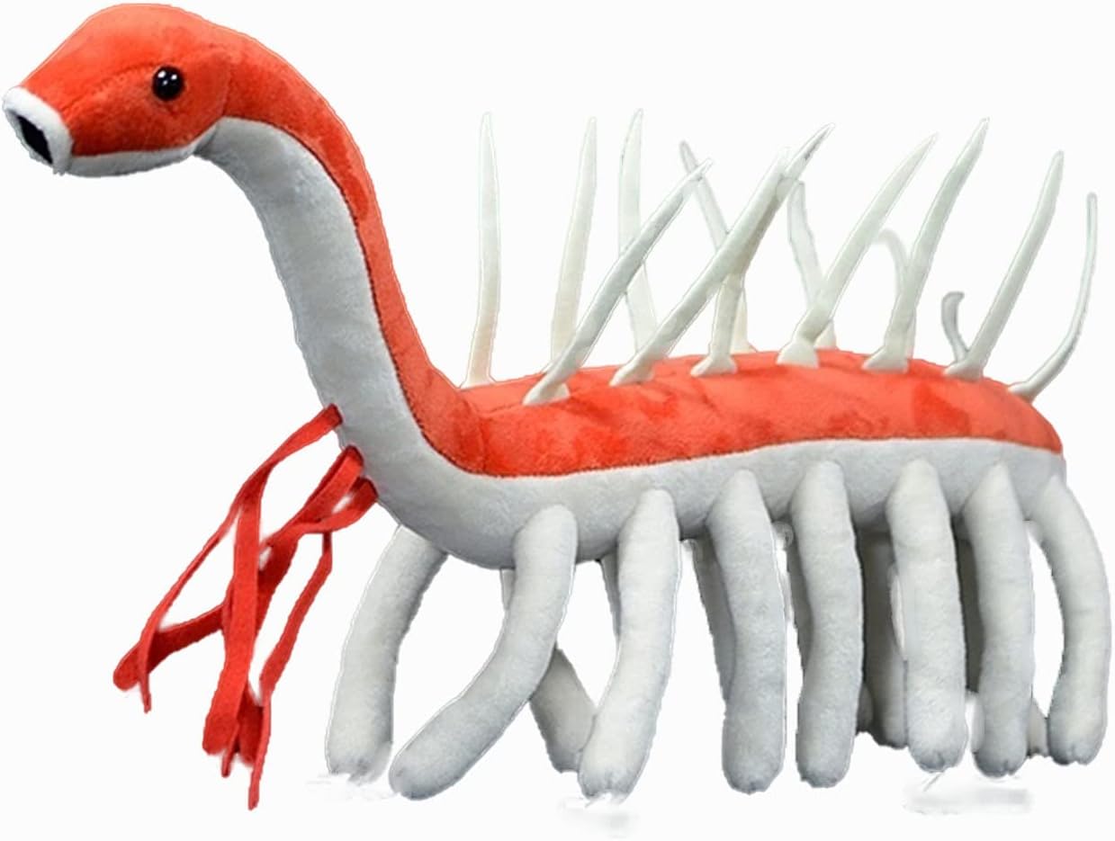 Tiny HeartSimulation Weird Worm Plush Toy, 16.92inch Soft Realistic Weird Worm Stuffed Animal Plush Toy for Kids Boys and Girls Gifts, Home Decoration