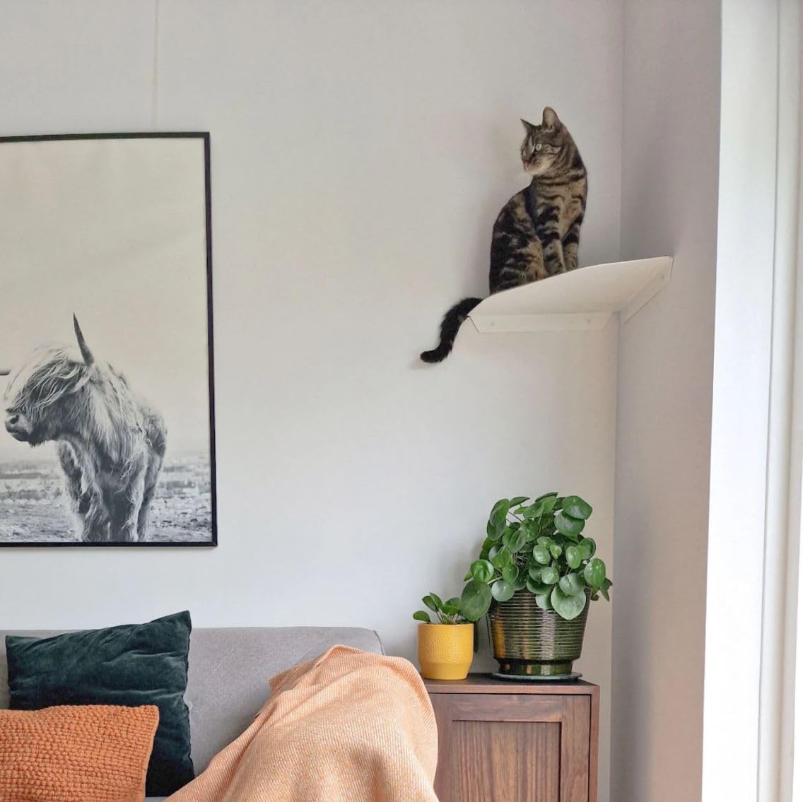 ChapoNero - Tumbona para gatos y escaleras de escalada con revestimiento de fieltro para techos de pared, tumbona de pared para gatos, manta de pared para gatos, para pared de escalada, estantería