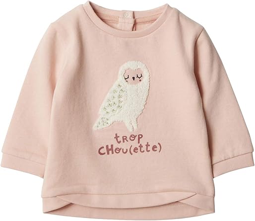 Vertbaudet Sweat Bebe Fille Motif Animal En Bouclettes Rose Pale 18m 81cm Amazon Fr Vetements