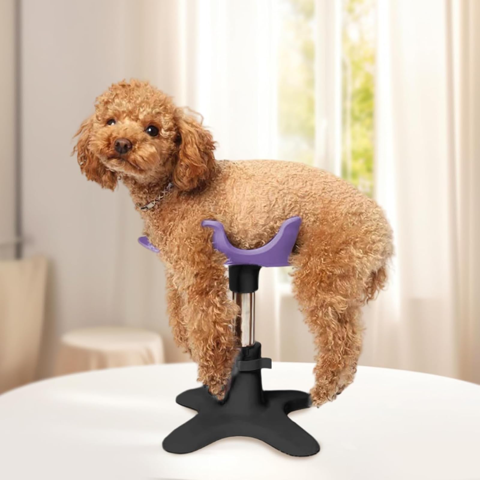 Supporto per la toelettatura multifunzionale animali domestici Rack ausiliario sicuro mani il bagno l asciugatura cura delle unghie e stabile regolabile uso domestico professionale