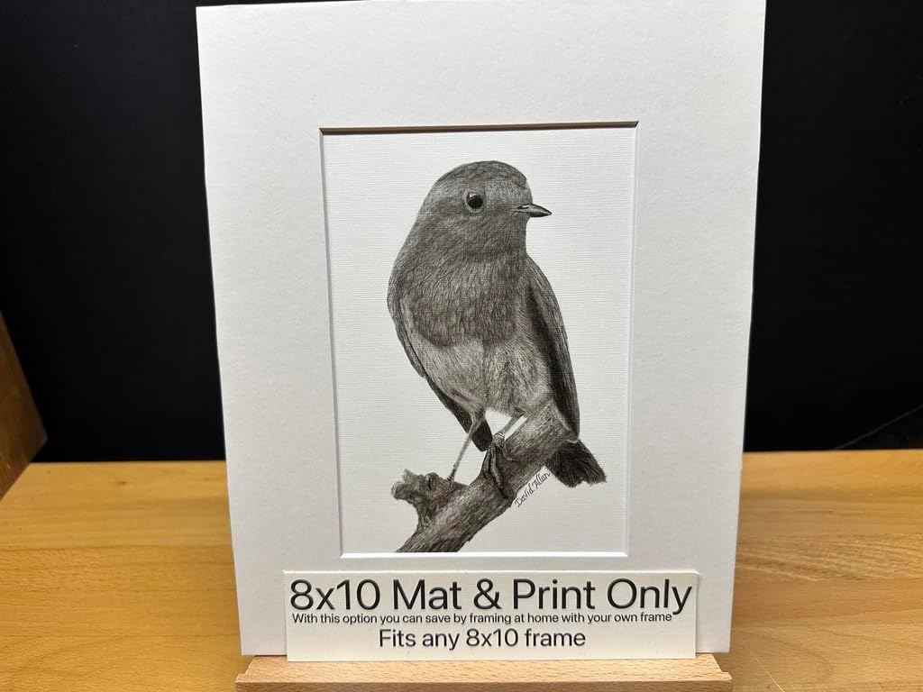 Hand Drawn Robin Bird Graphite Pencil Art Sketch Drawing Print Picture Limited Edition ~ Titled 'Spring Messenger' by David Allen (8x10 Mat & Print Only)