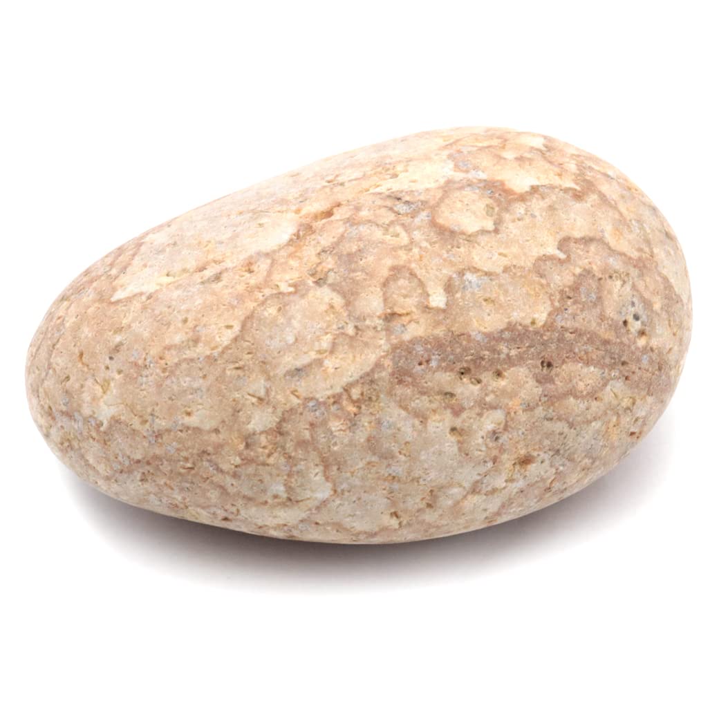 Amazon.co.jp: [GOLD STONE] 姫川薬石 糸魚川産 自然石 1個 200-250g