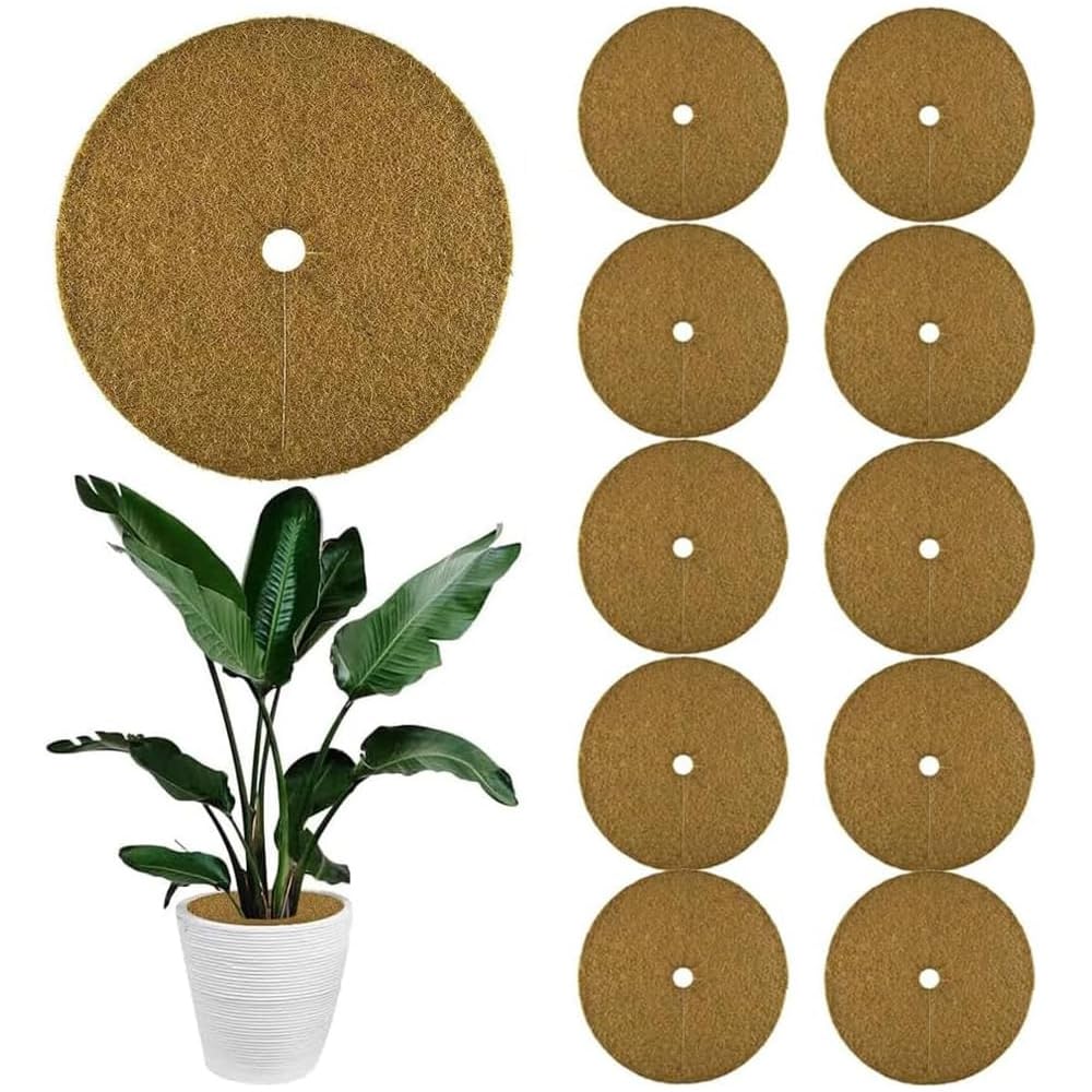 Pack of 10 coconut mulch disc, coconut disc, pot cover, coconut, plant protection, winter protection for pot plants, coconut fibres, winter protection coconut