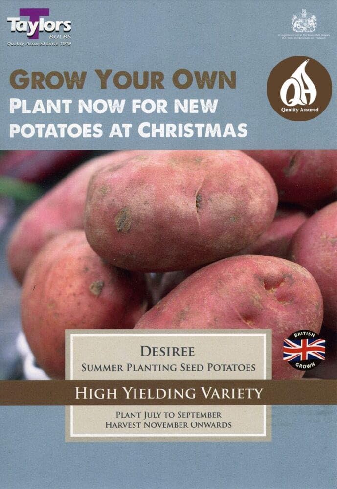 RAZZMATAZZ Taylors Bulbs - Winter Desiree Seed Potato