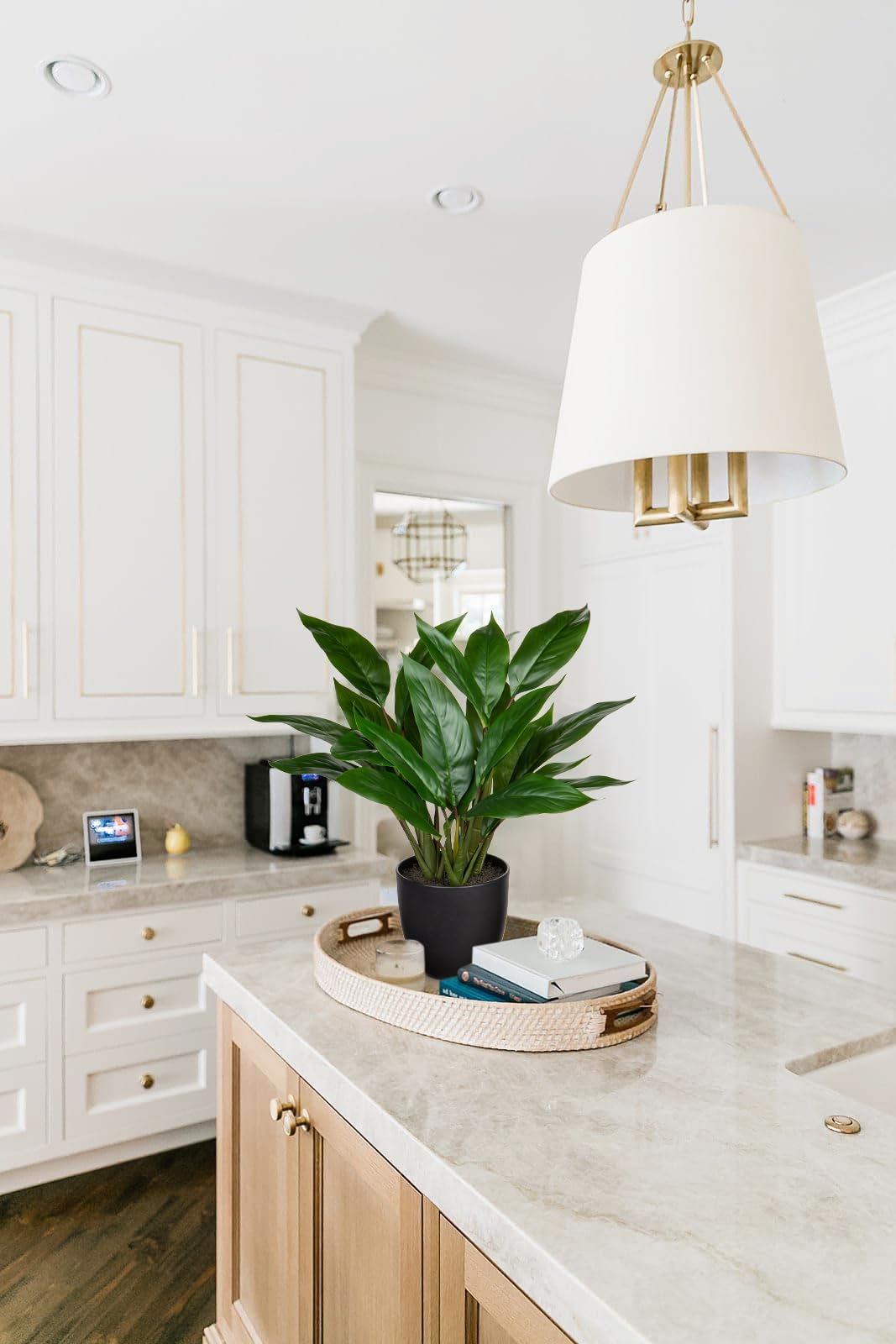 Briful 24.8" Artificial Cordyline Fruticosa Plant Decorative Indoor Tropical Fake Plants In White Pot For Home Or Office