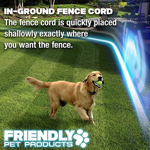 rachel ray nutrish recall