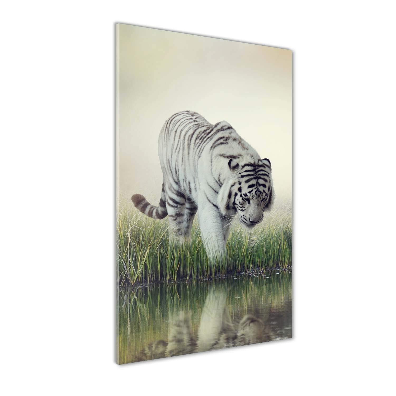 Déco mural derrière le plastique acrylique Tulup tableau tigre blanc 60x120 pour salon