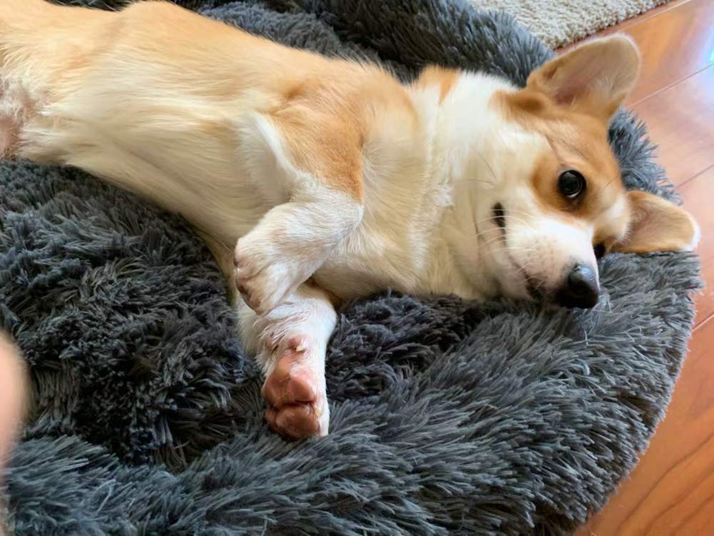 Hondenbed met hoes Grot Hondenschuilplaats Hondenslaapmand Hondengrotbed Anti-angst Antislip Wasbaar Winddicht Warm Zacht Geweldig for puppy's en middelgrote honden Huisdierbed Hondenbed Huis Binnen(1