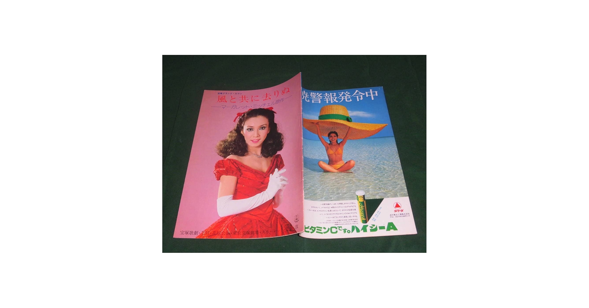 Amazon.co.jp: 風と共に去りぬパンフレット安奈淳 榛名由梨 鳳蘭