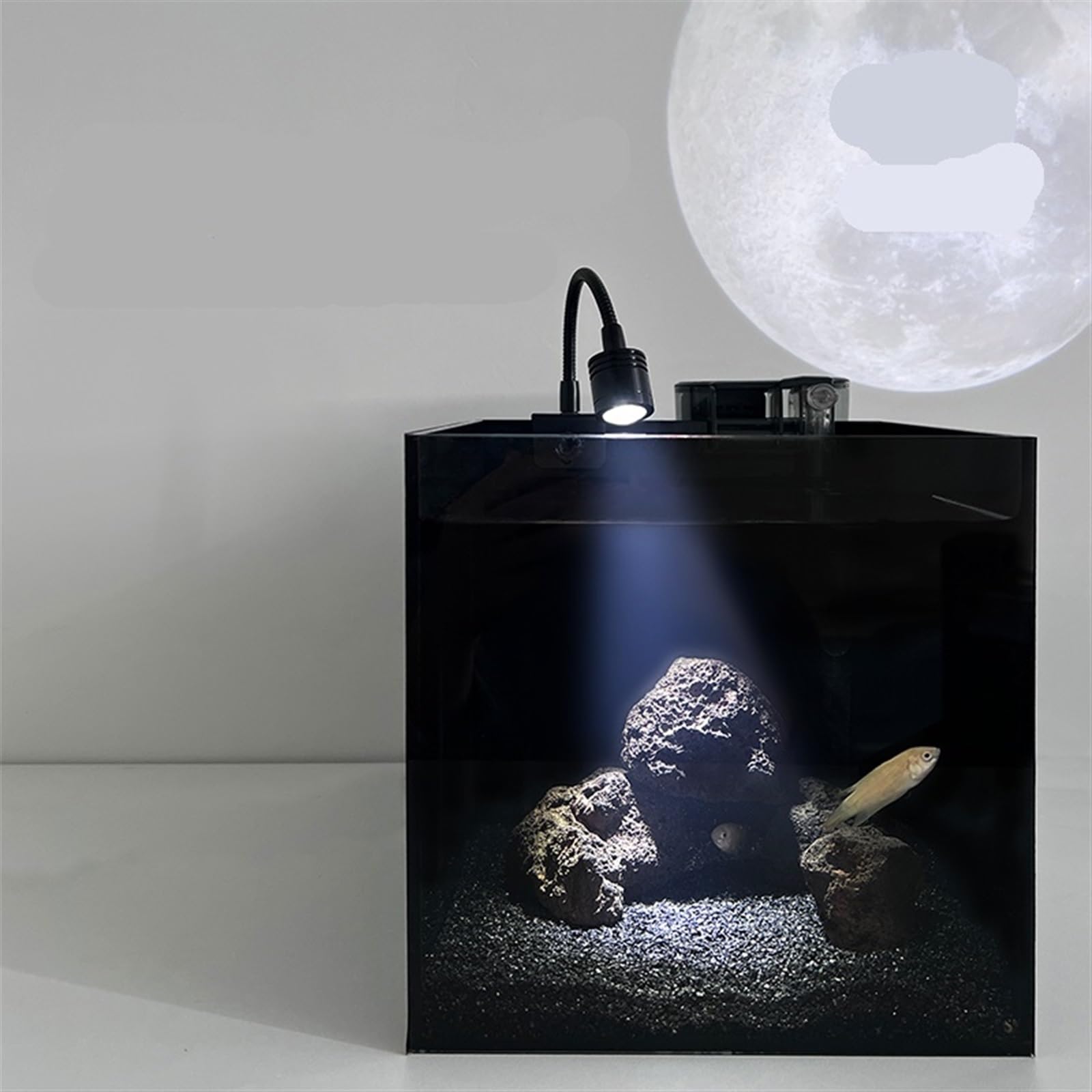 Acquario Acquario in Vetro Quadrato neroPiccolo Acquario da Tavolo in Vetro monoblocco con Accessori Acquario per Pesci
