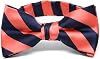tiemart Boys' Striped Bow Tie