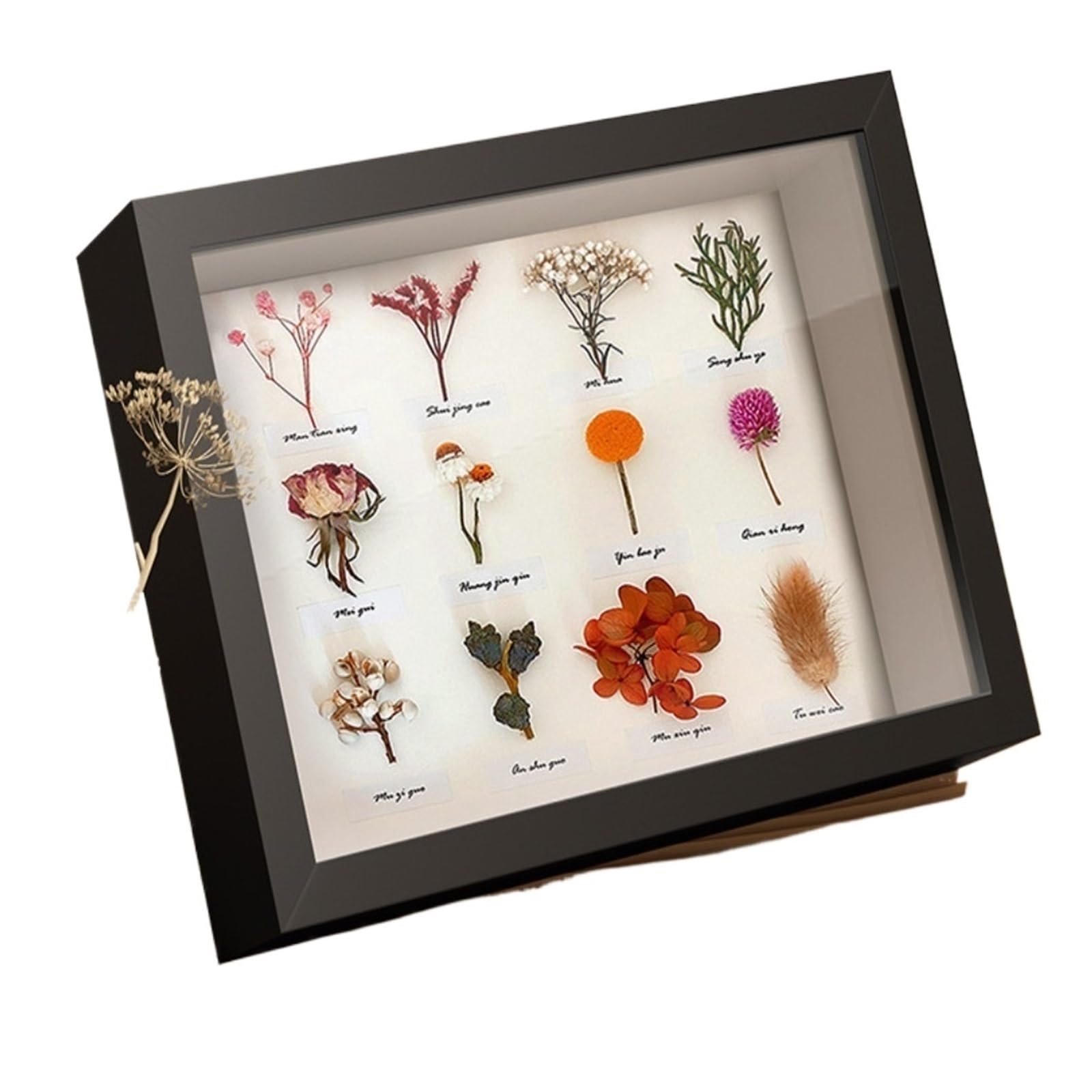 3D Shadow Box 3D Cube Range Deep Box Flower Shadow Specimen Frame Memory Display Floating Case Medals Hollow Photo(Black,8 inches)