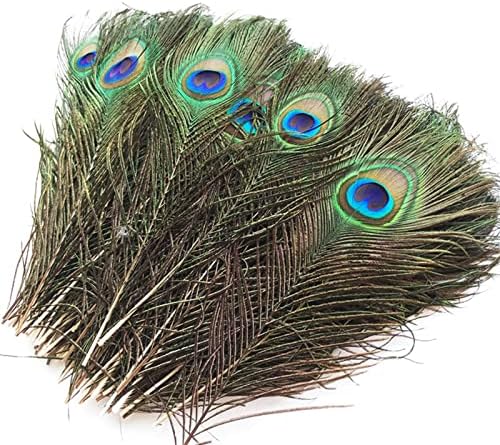 Plumes De Paon Naturelles Plumes De Queue De Paon Décoration De Plumes