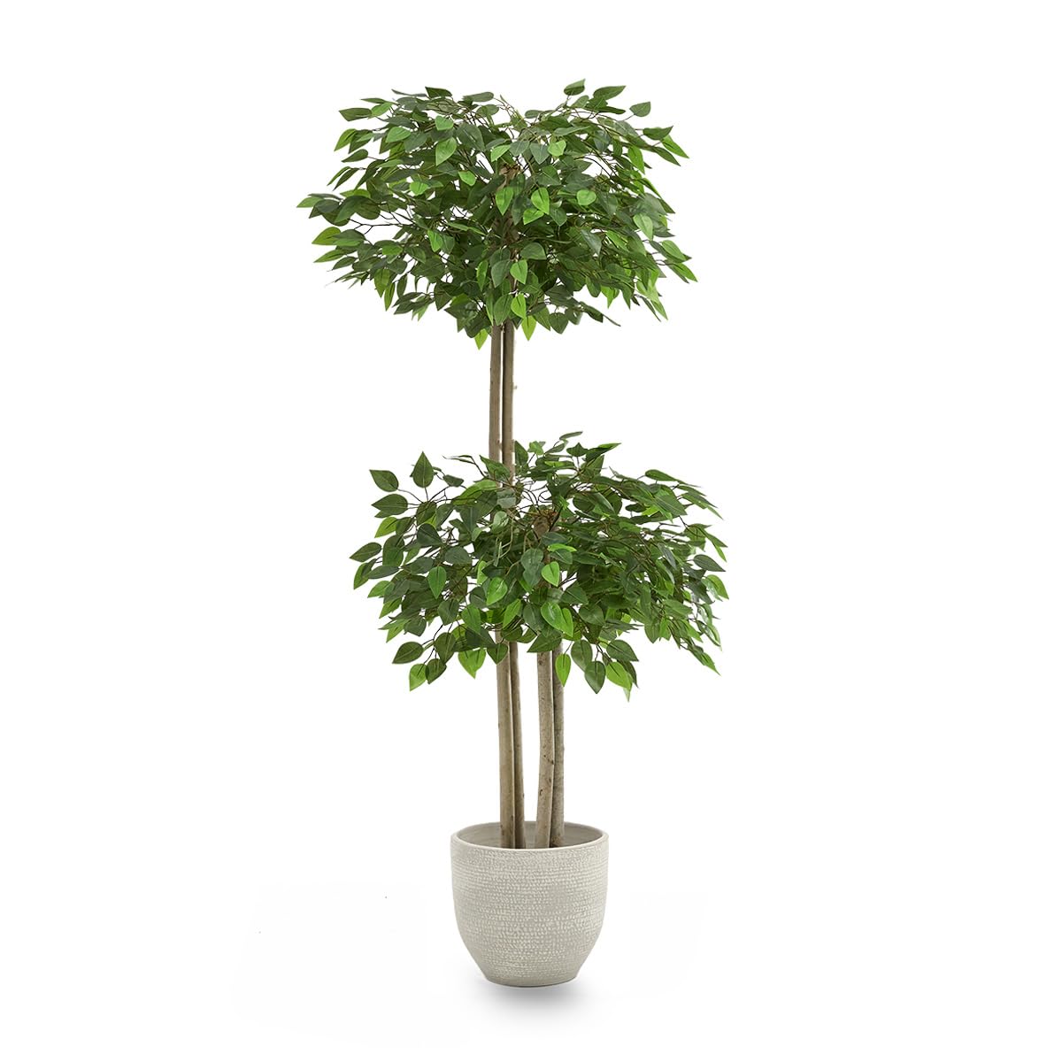 Piante Finte da Interno - Ficus Artificiale, 150 x 60 cm con 2 Chiome di Foglie, Albero Artificiale con Vaso in Plastica, Decorazioni Casa