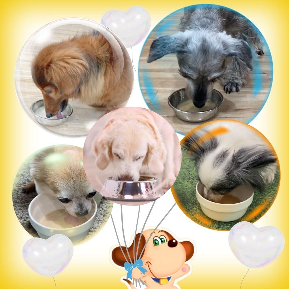 Amazon.co.jp: わんわんカロリー ライフ 275ml × 24本 : ドラッグストア