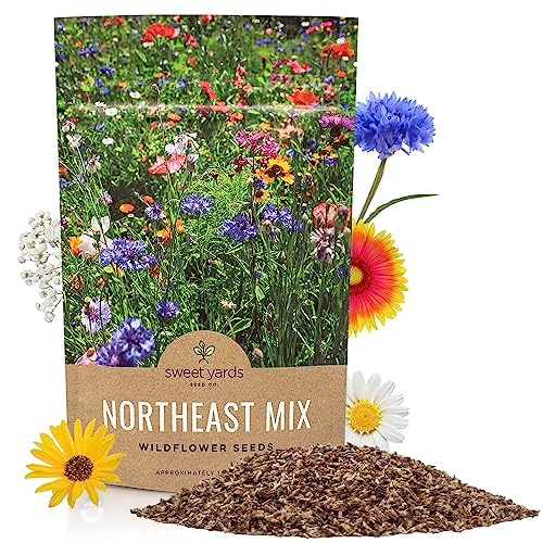 Sweet Yards - Northeast Wildflower Seed Regional Mixes - Bulk 1/4 Pound Bag - Over 30,000 Native Seeds - Open Pollinated and Non GMO Varieties for New York, Virginia, Pennsylvania, Maine and More!