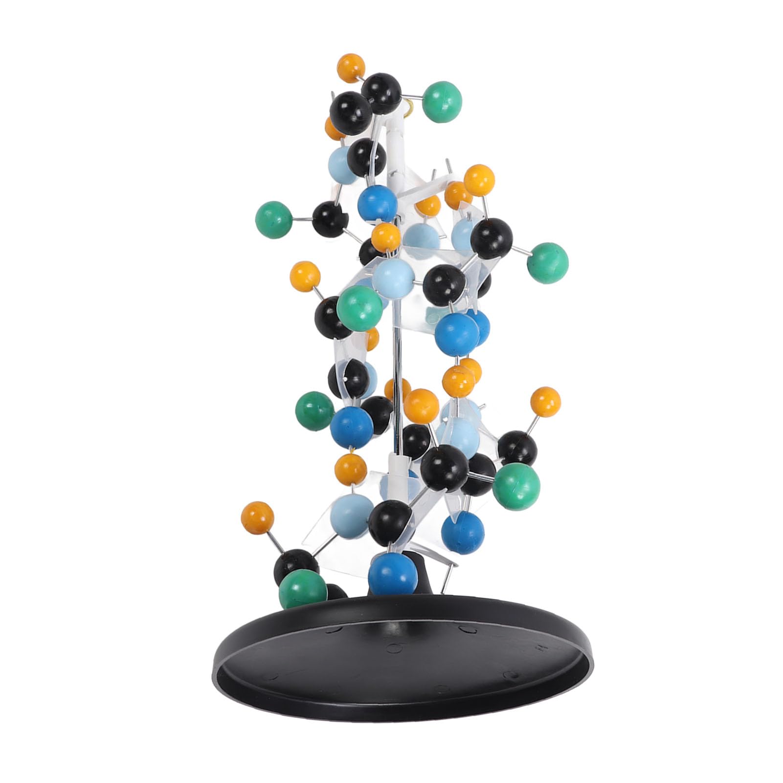 Equipo de Modelo Molecular de Proteína, Plástico Escolar para Profesores, Profesores, Profesores, Profesores, Animales Modelo