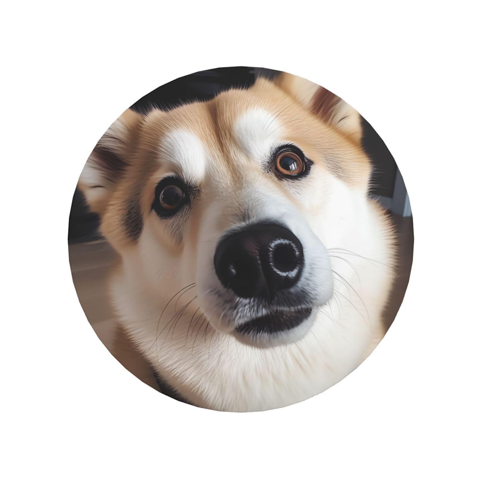 Animal Dog Photo Fridge Magnets Small Strong Refrigerator Magnets Cute Decorative Magnets Fridge Sticker Office Magnets for Fridge, Whiteboard, Kitchen Accessories
