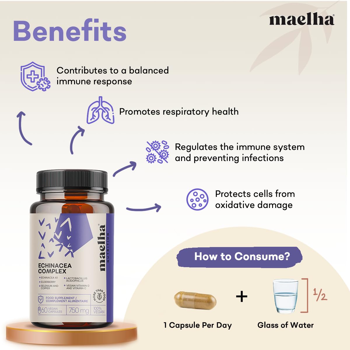Echinacea-Immunkomplex | Echinacea, Beta-Glucane, Holunder, Vitamine C und D, Selen, Kupfer, Lactobacillus acidophilus | Immunsystem | 60 Kapseln | 100% natürliche Ergänzung