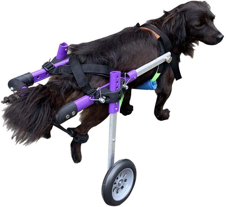 後脚用小型犬車椅子 ペット用歩行車輪ヒップ高さ 50cm ヒップ幅13 26cm 後脚リハビリテーション 犬後脚用レッグブレース サイズ さいず X Small Xs 最高品質の