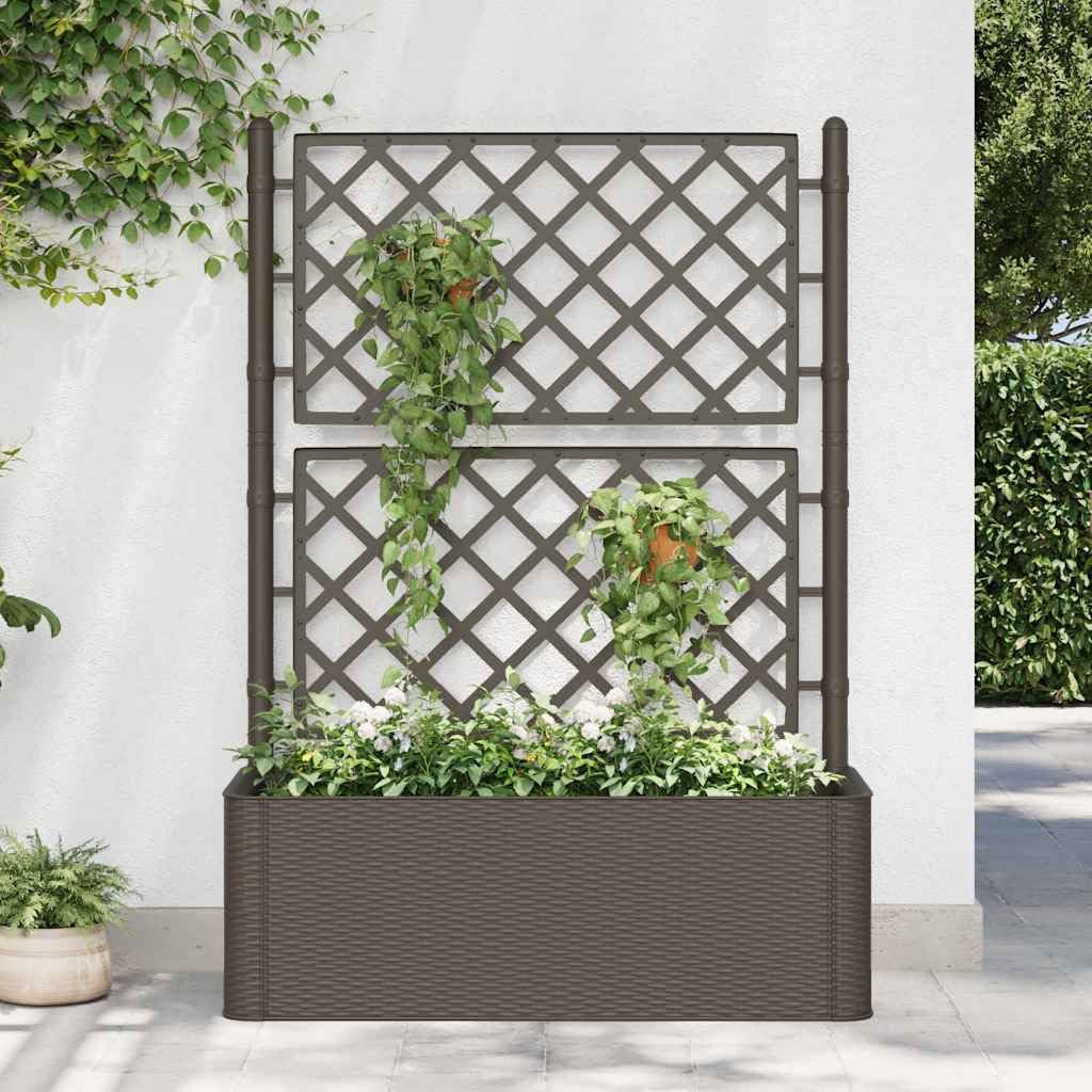 Jardinière surélevée avec treillis et système d'auto-irrigation, réservoir