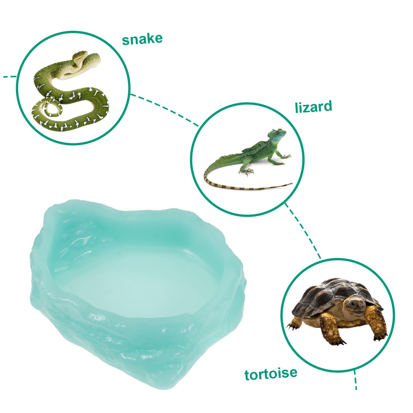 Plato Alimentador Luminiscente para Reptiles Tazón para Comida y Agua para Tortugas Resistente La Alimentación Nocturna