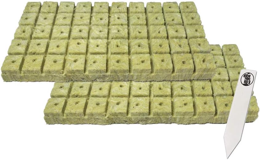 1" Rockwool Starter Plugs, 2 Sheet of 50 Plugs (100 Plugs Total) + 1 THCity Stake