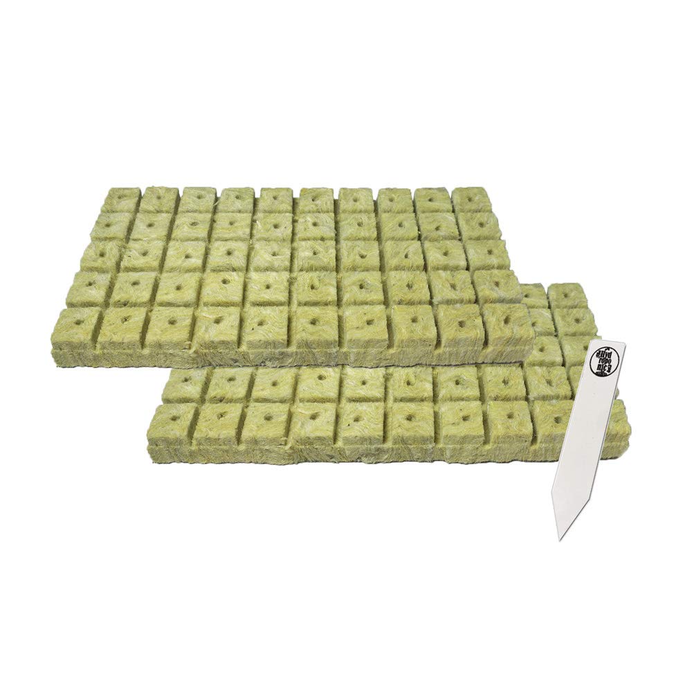 1" Rockwool Starter Plugs, 2 Sheet of 50 Plugs (100 Plugs Total) + 1 THCity Stake